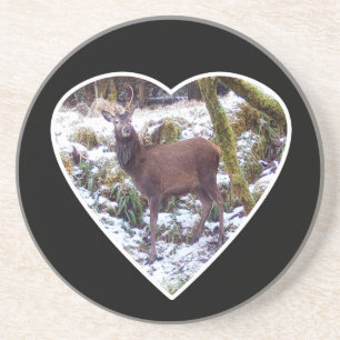 Majestic Red Deer Stag Snowy Winter Landscape Wood Coaster