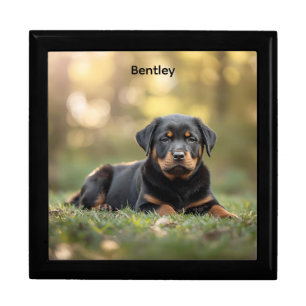 Majestic Rottweiler Personalized Jewelry Keepsake Gift Box