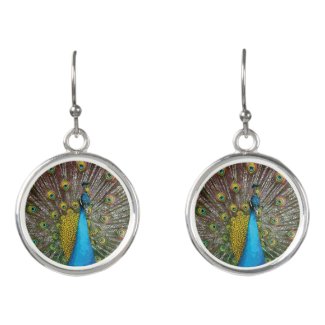 Majestic Royal Peacock in Shades of Blue and Gold Earrings