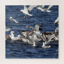 Majestic Seagulls Hunting Sand Eels Over Ocean Art