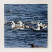Majestic Seagulls Hunting Sand Eels Over Ocean Art