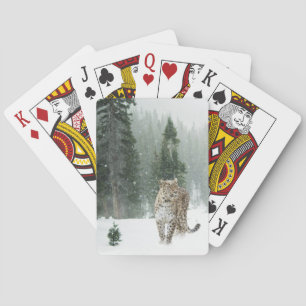 Majestic Snow Leopard in the Winter Snow Poker Cards
