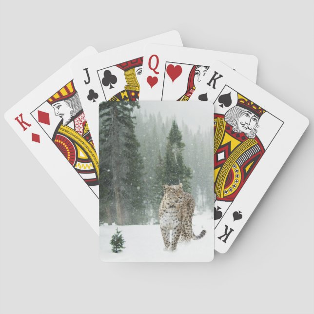 Majestic Snow Leopard in the Winter Snow  Poker Cards (Back)
