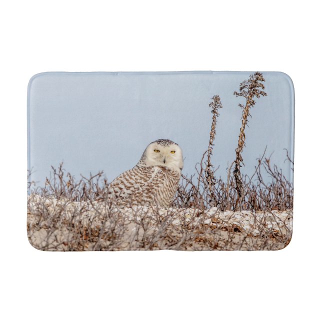 Majestic Snowy Owl of the Connecticut Coast Bathroom Mat (Front)