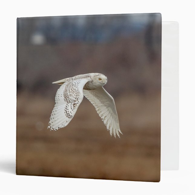 Majestic Snowy Owl of the Connecticut Coast Binder (Front/Inside)