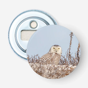 Majestic Snowy Owl of the Connecticut Coast Bottle Opener