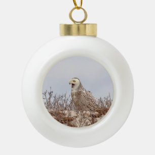 Majestic Snowy Owl of the Connecticut Coast Ceramic Ball Christmas Ornament