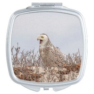 Majestic Snowy Owl of the Connecticut Coast Compact Mirror
