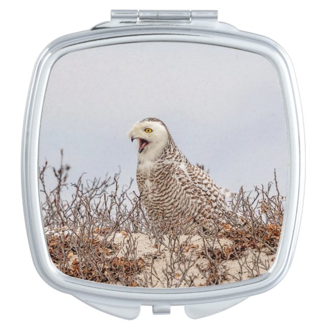 Majestic Snowy Owl of the Connecticut Coast Compact Mirror (Front)