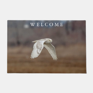 Majestic Snowy Owl of the Connecticut Coast Doormat