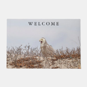 Majestic Snowy Owl of the Connecticut Coast Doormat