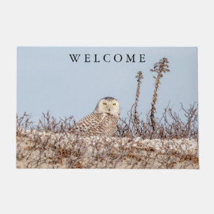 Majestic Snowy Owl of the Connecticut Coast Doormat