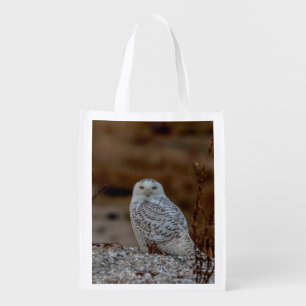 Majestic Snowy Owl of the Connecticut Coast Grocery Bag