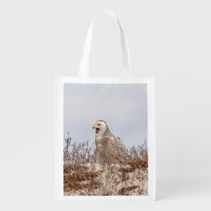 Majestic Snowy Owl of the Connecticut Coast Grocery Bag