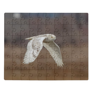 Majestic Snowy Owl of the Connecticut Coast Jigsaw Puzzle