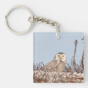 Majestic Snowy Owl of the Connecticut Coast Keychain