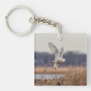 Majestic Snowy Owl of the Connecticut Coast Keychain