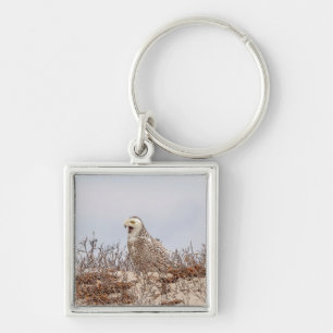 Majestic Snowy Owl of the Connecticut Coast Keychain