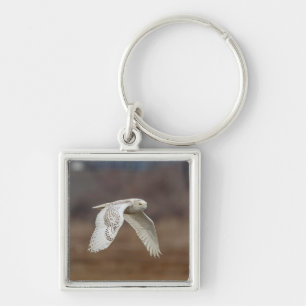 Majestic Snowy Owl of the Connecticut Coast Keychain