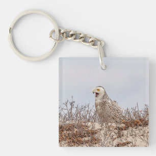 Majestic Snowy Owl of the Connecticut Coast Keychain