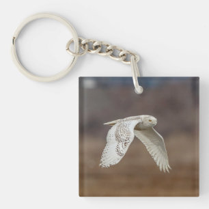 Majestic Snowy Owl of the Connecticut Coast Keychain
