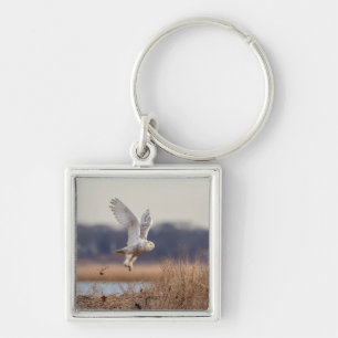 Majestic Snowy Owl of the Connecticut Coast Keychain