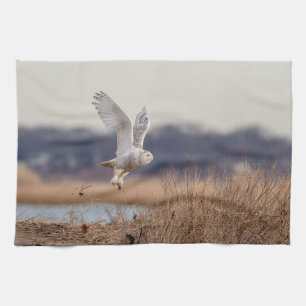 Majestic Snowy Owl of the Connecticut Coast Kitchen Towel