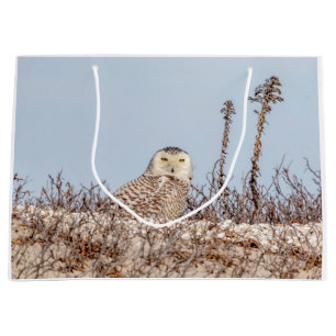 Majestic Snowy Owl of the Connecticut Coast Large Gift Bag
