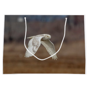 Majestic Snowy Owl of the Connecticut Coast Large Gift Bag