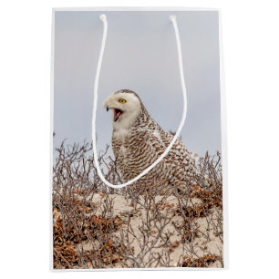 Majestic Snowy Owl of the Connecticut Coast Medium Gift Bag