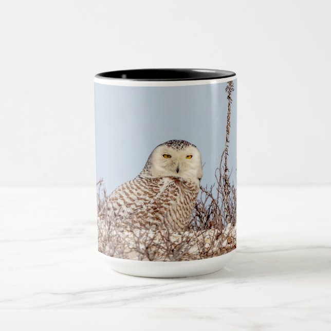 Majestic Snowy Owl of the Connecticut Coast Mug (Center)