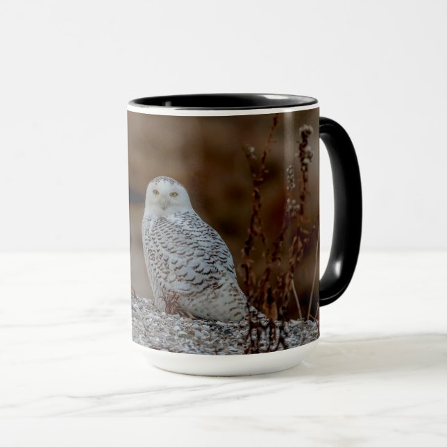 Majestic Snowy Owl of the Connecticut Coast Mug (Front Right)