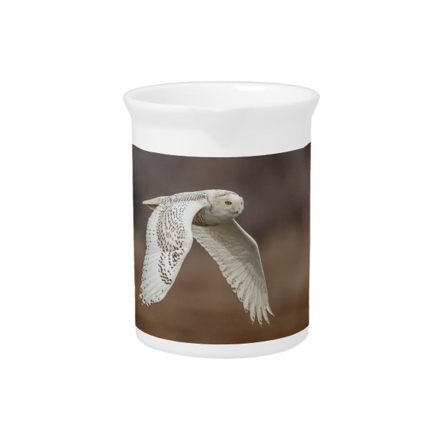 Majestic Snowy Owl of the Connecticut Coast Pitcher (Front)