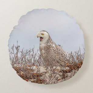 Majestic Snowy Owl of the Connecticut Coast Round Pillow