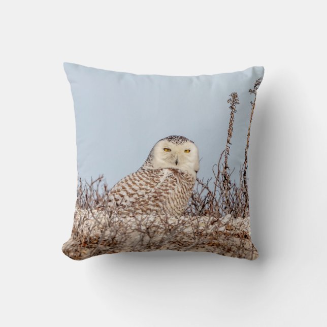 Majestic Snowy Owl of the Connecticut Coast Throw Pillow (Front)