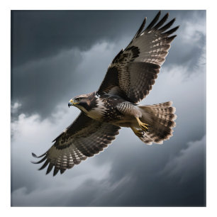 Majestic Soaring Hawk Storm Clouds Acrylic Print