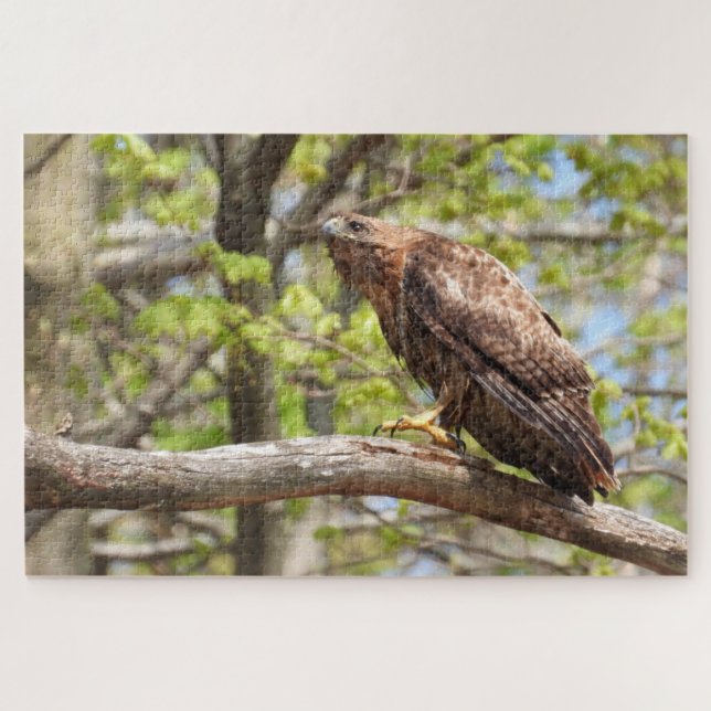 Majestic Stalking Red Tailed Hawk Jigsaw Puzzle (Horizontal)