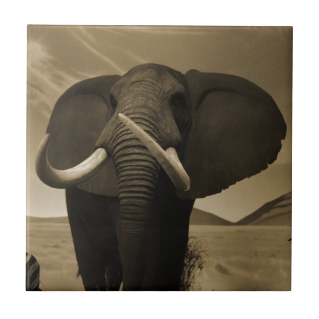 Majestic Stature Tile (Front)