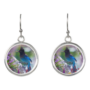 Majestic steller Blue Jay earrings