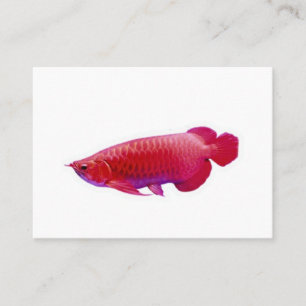 Majestic Super Red Arowana Lucky Dragon Fish Stic Business Card