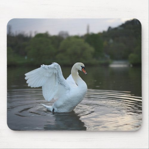 Majestic Swan  Mouse Pad