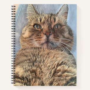Majestic Tiger Cat Notebook