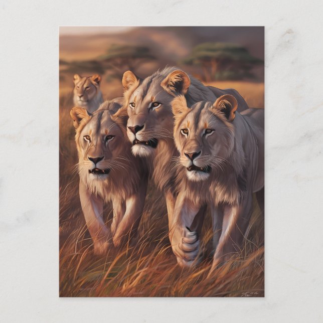Majestic Trio Roaming Through Tall Grass Postcard (Front)