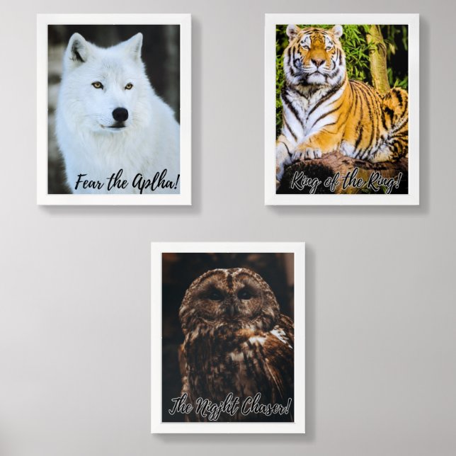Majestic Trio Wall Art Set – Wolf, Tiger & Owl (Front)