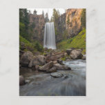 Majestic Tumalo Falls In Central Oregon Usa Postcard at Zazzle