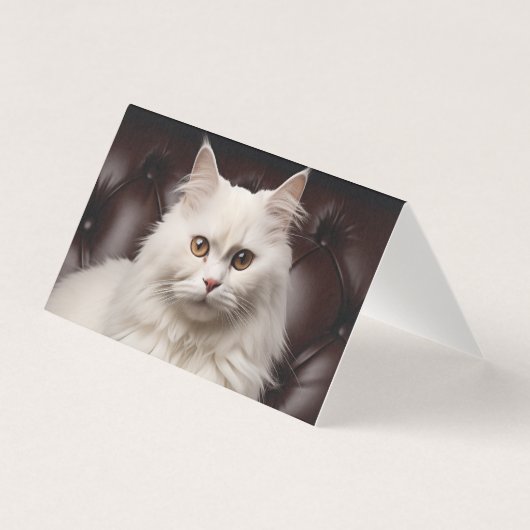 Majestic white cat (Front)