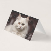 Majestic white cat (Back)