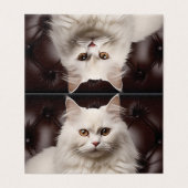 Majestic white cat (Outside Unfolded)