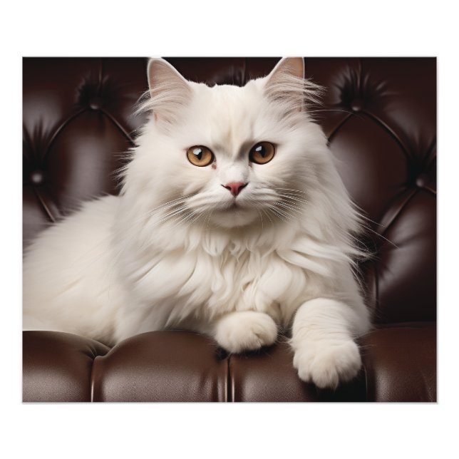 Majestic white cat photo print (Front)