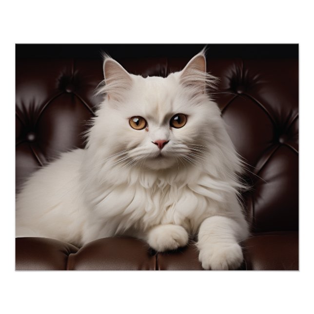 Majestic white cat poster (Front)
